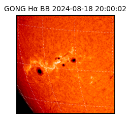 gong - 2024-08-18T20:00:02