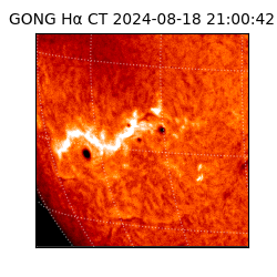 gong - 2024-08-18T21:00:42