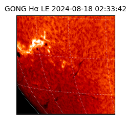 gong - 2024-08-18T02:33:42