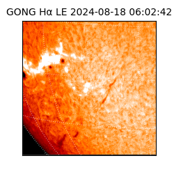 gong - 2024-08-18T06:02:42