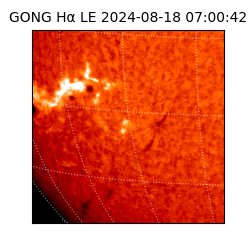 gong - 2024-08-18T07:00:42