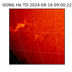 gong - 2024-08-18T09:00:22