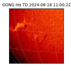 gong - 2024-08-18T11:00:22