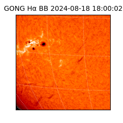 gong - 2024-08-18T18:00:02