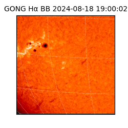 gong - 2024-08-18T19:00:02