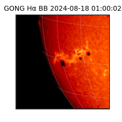 gong - 2024-08-18T01:00:02