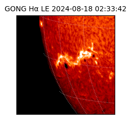 gong - 2024-08-18T02:33:42