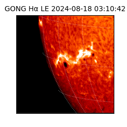 gong - 2024-08-18T03:10:42