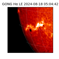 gong - 2024-08-18T05:04:42