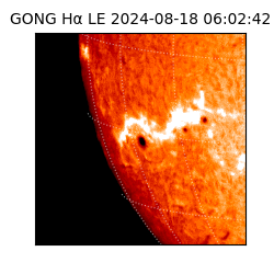 gong - 2024-08-18T06:02:42