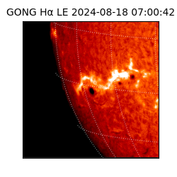 gong - 2024-08-18T07:00:42