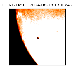 gong - 2024-08-18T17:03:42