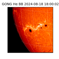 gong - 2024-08-18T18:00:02