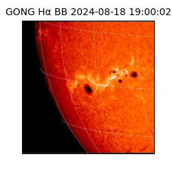 gong - 2024-08-18T19:00:02