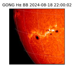 gong - 2024-08-18T22:00:02