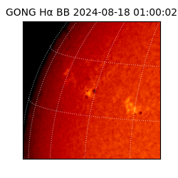 gong - 2024-08-18T01:00:02