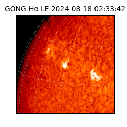 gong - 2024-08-18T02:33:42