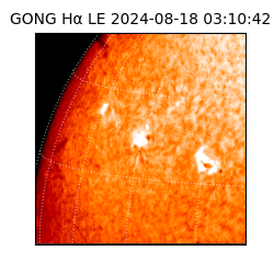 gong - 2024-08-18T03:10:42