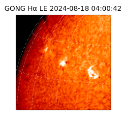 gong - 2024-08-18T04:00:42