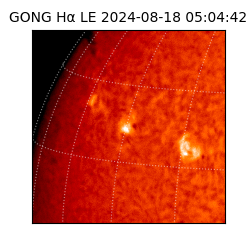 gong - 2024-08-18T05:04:42