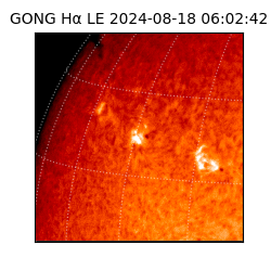 gong - 2024-08-18T06:02:42