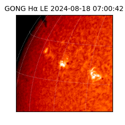 gong - 2024-08-18T07:00:42