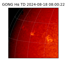 gong - 2024-08-18T08:00:22