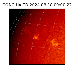 gong - 2024-08-18T09:00:22