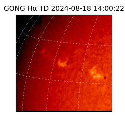 gong - 2024-08-18T14:00:22