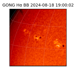 gong - 2024-08-18T19:00:02