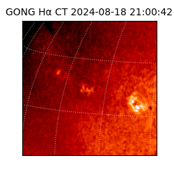 gong - 2024-08-18T21:00:42