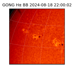 gong - 2024-08-18T22:00:02