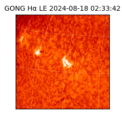 gong - 2024-08-18T02:33:42