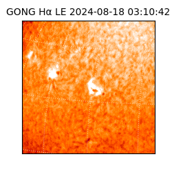 gong - 2024-08-18T03:10:42