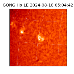 gong - 2024-08-18T05:04:42