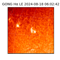 gong - 2024-08-18T06:02:42