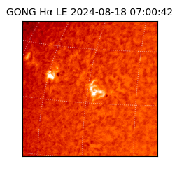 gong - 2024-08-18T07:00:42