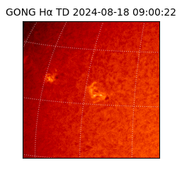 gong - 2024-08-18T09:00:22