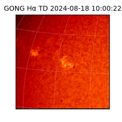 gong - 2024-08-18T10:00:22