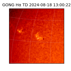 gong - 2024-08-18T13:00:22