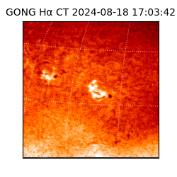 gong - 2024-08-18T17:03:42