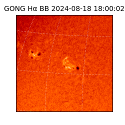 gong - 2024-08-18T18:00:02