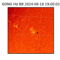 gong - 2024-08-18T19:00:02