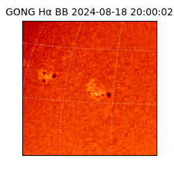 gong - 2024-08-18T20:00:02