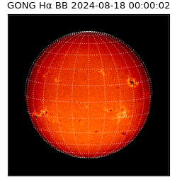 gong - 2024-08-18T00:00:02