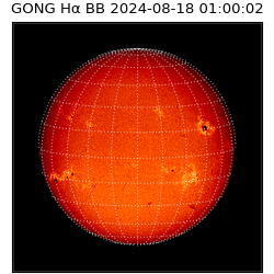 gong - 2024-08-18T01:00:02