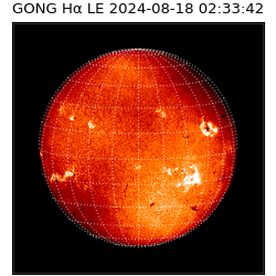 gong - 2024-08-18T02:33:42