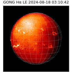 gong - 2024-08-18T03:10:42