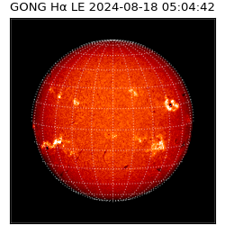 gong - 2024-08-18T05:04:42