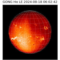 gong - 2024-08-18T06:02:42